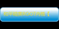 和平精英ROOT内核【壁虎】和平插件-外挂